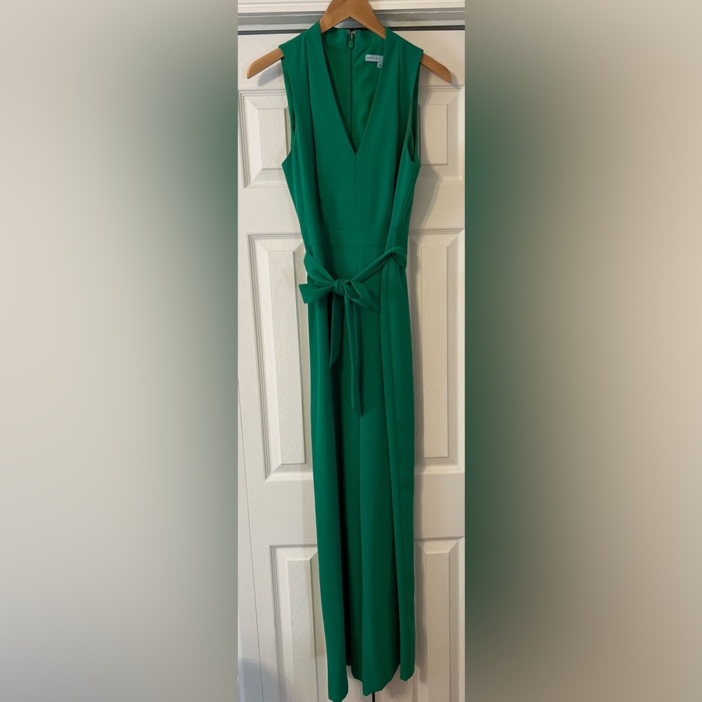 Antonio Melani Jumpsuit - Worn Once